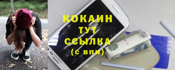 шишки Тавда