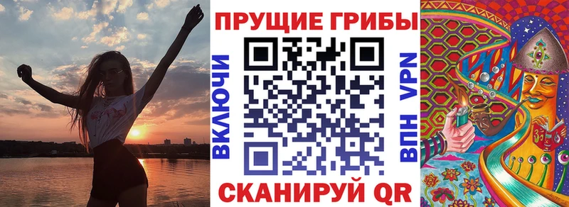 сколько стоит  Афипский  Псилоцибиновые грибы Magic Shrooms 