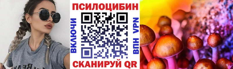 Псилоцибиновые грибы ЛСД Афипский